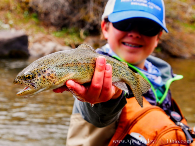 Fishes in Apple Valley Lake