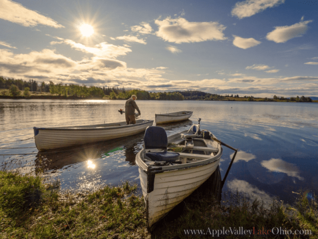 Kinds of Fishes in Apple Valley lake