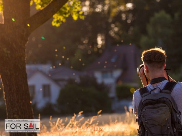 Top Apple Valley Lake Real Estate Properties